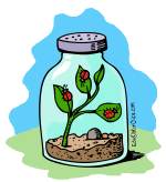 Bug Jar Clip Art Link