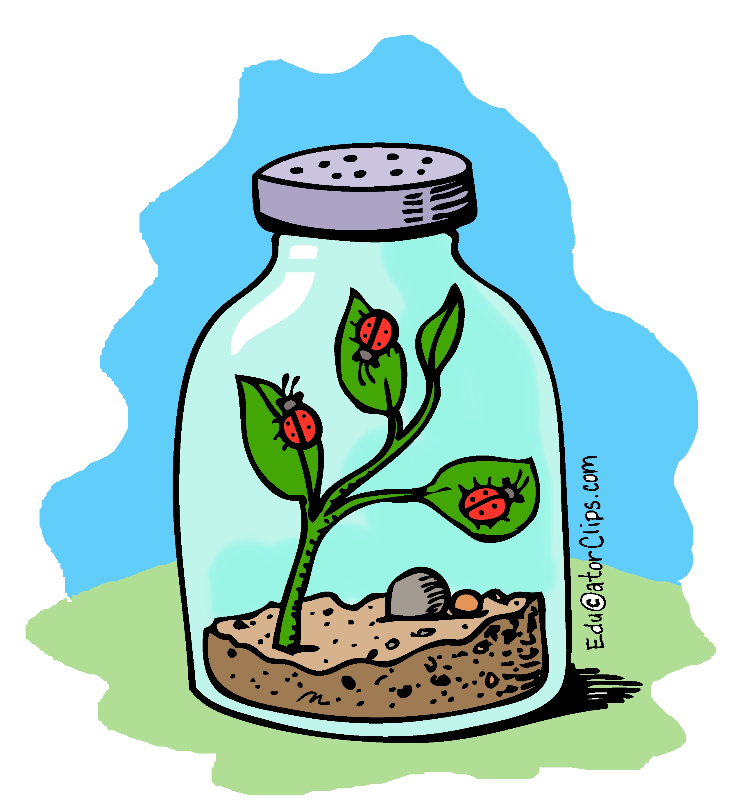 Bug Jar Clip Art