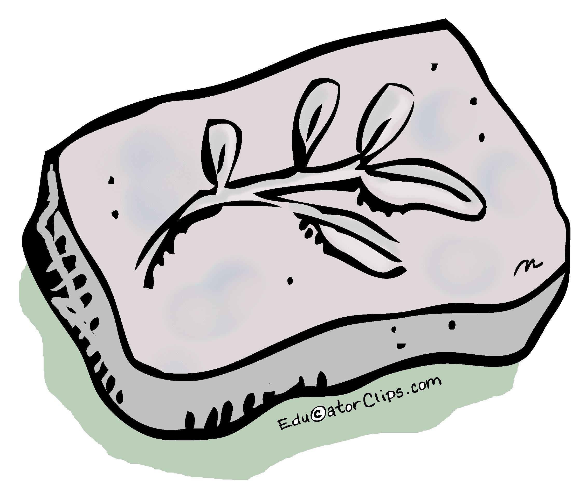 Fossil clip art