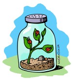 Bug Jar Clip Art Link